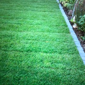 Garten und Landschaftsbau Güler in Kelkheim Leistungen Rollrasen 09