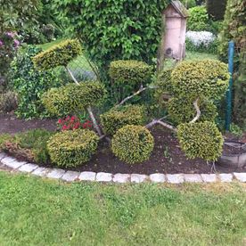 Garten und Landschaftsbau Güler in Kelkheim Leistungen Rollrasen 08