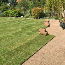 Garten und Landschaftsbau Güler in Kelkheim Leistungen Rollrasen 05